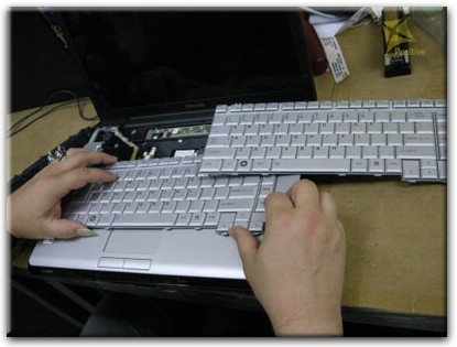 Ремонт клавиатуры на ноутбуке Toshiba в Чебоксарах